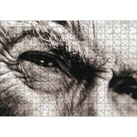 Cakapuzzle Clint Eastwood Portre Gözler Mdf 255 Parça Puzzle
