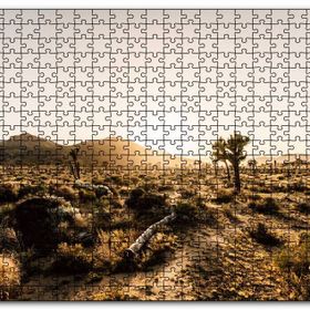 Cakapuzzle Çölde Gündoğumu Otlar ve Kaktüsler Mdf 1000 Parça Puzzle