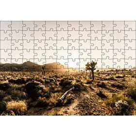 Cakapuzzle Çölde Gündoğumu Otlar ve Kaktüsler Mdf 120 Parça Puzzle