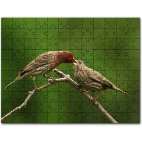 Cakapuzzle Cristiano Ronaldo Büyük Yazı ve Kompozisyon Mdf 255 Parça Puzzle