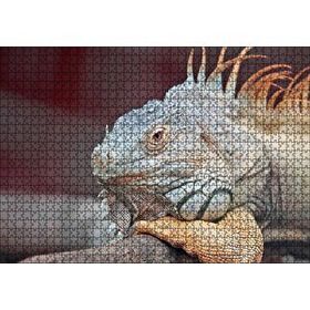 Cakapuzzle Dal Üzerinde Dinlenen Dev Kertenkele Mdf 1000 Parça Puzzle