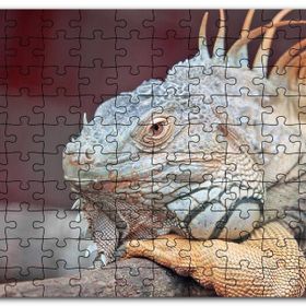 Cakapuzzle Dal Üzerinde Dinlenen Dev Kertenkele Mdf 255 Parça Puzzle