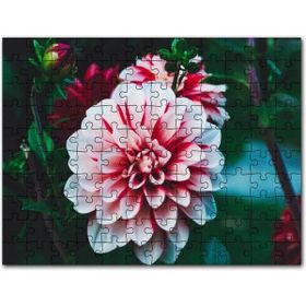 Cakapuzzle Dal Üzerinde Dinlenen Dev Kertenkele Mdf 255 Parça Puzzle