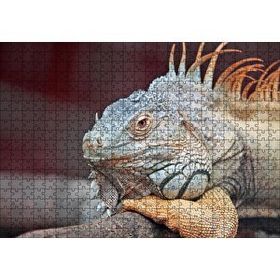 Cakapuzzle Dal Üzerinde Dinlenen Dev Kertenkele Mdf 500 Parça Puzzle