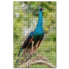 Cakapuzzle Dal Üzerinde Hint Tavuskuşu Görseli Ahşap 255 Parça Puzzle