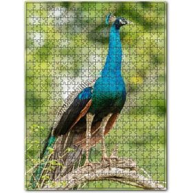 Cakapuzzle Dal Üzerinde Hint Tavuskuşu Görseli Ahşap 255 Parça Puzzle