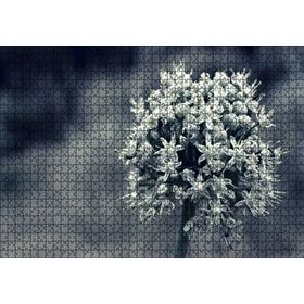 Cakapuzzle Dal ve Tomurcuk Şeklinde Çiçek Siyah Beyaz 120 Parça Ahşap Puzzle