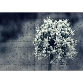 Cakapuzzle Dal ve Tomurcuk Şeklinde Çiçek Siyah Beyaz 120 Parça Ahşap Puzzle