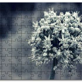 Cakapuzzle Dal ve Tomurcuk Şeklinde Çiçek Siyah Beyaz Mdf 1000 Parça Puzzle