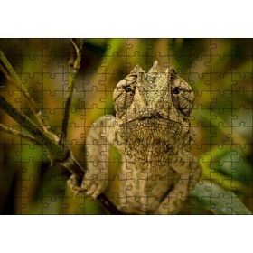 Cakapuzzle Dalda Boz Renkli Bukalemun 120 Parça Ahşap Puzzle