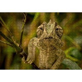 Cakapuzzle Dalda Boz Renkli Bukalemun 120 Parça Ahşap Puzzle