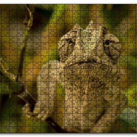 Cakapuzzle Dalda Boz Renkli Bukalemun Mdf 1000 Parça Puzzle
