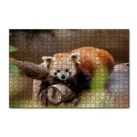 Cakapuzzle Dalda Dinlenen Kızıl Panda 120 Parça Ahşap Puzzle