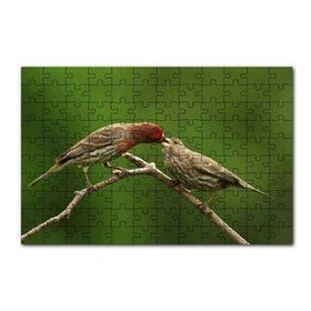 Cakapuzzle Dalda Dişisini Besleyen Saka Kuşu 120 Parça Ahşap Puzzle