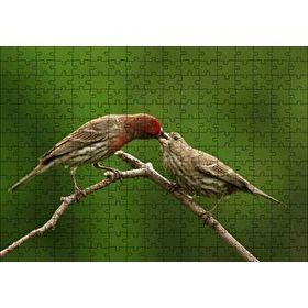 Cakapuzzle Dalda Dişisini Besleyen Saka Kuşu 120 Parça Ahşap Puzzle