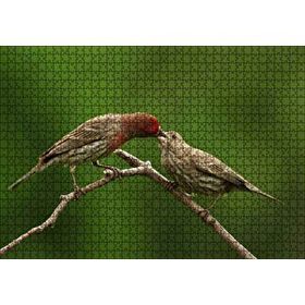 Cakapuzzle Dalda Dişisini Besleyen Saka Kuşu 120 Parça Ahşap Puzzle