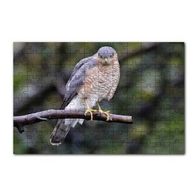 Cakapuzzle Dalda Etrafı Kolaçan Eden Doğan 120 Parça Ahşap Puzzle