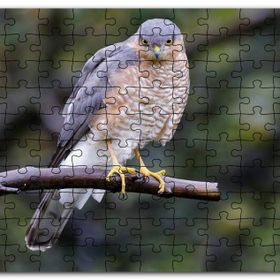 Cakapuzzle Dalda Etrafı Kolaçan Eden Doğan Mdf 500 Parça Puzzle