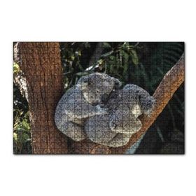 Cakapuzzle Dalda Koala Kardeşliği 120 Parça Ahşap Puzzle