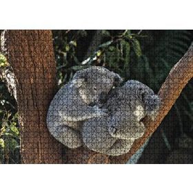Cakapuzzle Dalda Koala Kardeşliği 120 Parça Ahşap Puzzle