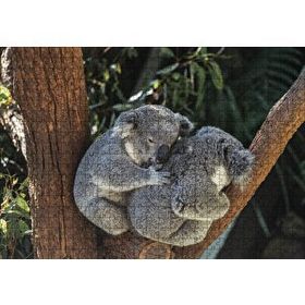 Cakapuzzle Dalda Koala Kardeşliği 120 Parça Ahşap Puzzle