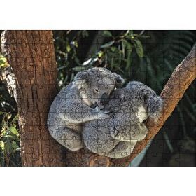 Cakapuzzle Dalda Koala Kardeşliği Mdf 120 Parça Puzzle