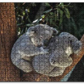 Cakapuzzle Dalda Koala Kardeşliği Mdf 255 Parça Puzzle