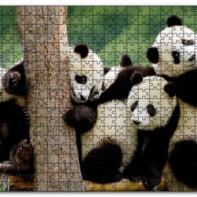 Cakapuzzle Dalda Oynayan Yavru Pandalar Mdf 500 Parça Puzzle