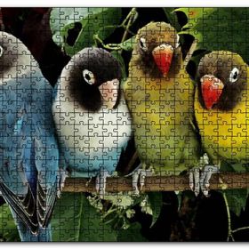 Cakapuzzle Dalda Sevda Papağanları Mdf 1000 Parça Puzzle