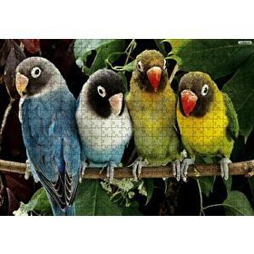 Cakapuzzle Dalda Sevda Papağanları Mdf 500 Parça Puzzle