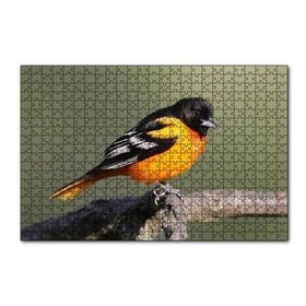 Cakapuzzle Dalda Turuncu Siyah Egzotik Kuş 120 Parça Ahşap Puzzle