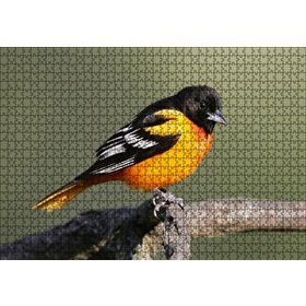 Cakapuzzle Dalda Turuncu Siyah Egzotik Kuş 120 Parça Ahşap Puzzle