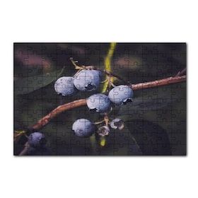 Cakapuzzle Dalda Yabanmersini Meyveleri 120 Parça Ahşap Puzzle