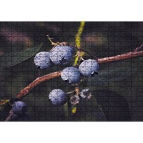 Cakapuzzle Dalda Yabanmersini Meyveleri 120 Parça Ahşap Puzzle