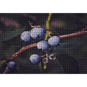 Cakapuzzle Dalda Yabanmersini Meyveleri Mdf 1000 Parça Puzzle