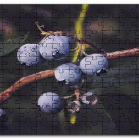 Cakapuzzle Dalda Yabanmersini Meyveleri Mdf 500 Parça Puzzle