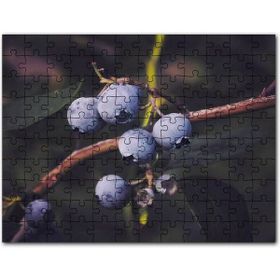 Cakapuzzle Dalda Yabanmersini Meyveleri Mdf 500 Parça Puzzle