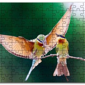 Cakapuzzle Daldaki Dişisini Besleyen Erkek Kuş Mdf 1000 Parça Puzzle