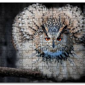 Cakapuzzle Daldaki Kartal Baykuşu ve Muhteşem Tüyleri Mdf 500 Parça Puzzle