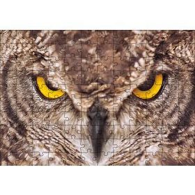 Cakapuzzle Daldaki Kartal Baykuşu ve Muhteşem Tüyleri Puzzle