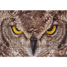 Cakapuzzle Daldaki Kartal Baykuşu ve Muhteşem Tüyleri Puzzle