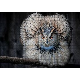 Cakapuzzle Daldaki Kartal Baykuşu ve Muhteşem Tüyleri Puzzle