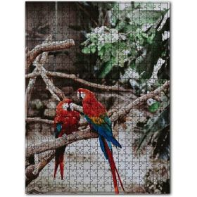 Cakapuzzle Daldaki Kırmızı Mavi Papağanlar Ahşap 255 Parça Puzzle