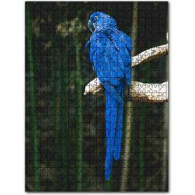Cakapuzzle Daldaki Mavi Papağan 255 Parça Puzzle