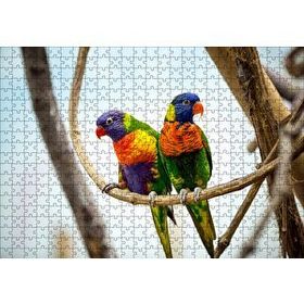 Cakapuzzle Daldaki Papağan Çift 500 Parça Puzzle