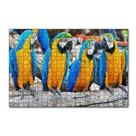 Cakapuzzle Daldaki Sarı Mavi Macaw Papağanları 120 Parça Ahşap Puzzle