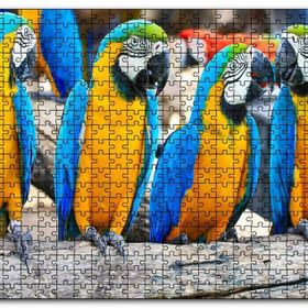 Cakapuzzle Daldaki Sarı Mavi Macaw Papağanları Mdf 120 Parça Puzzle