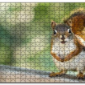Cakapuzzle Daldaki Sevimli Küçük Sincap Mdf 255 Parça Puzzle