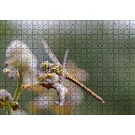 Cakapuzzle Daldaki Yusufçuk Yakın Çekim 120 Parça Ahşap Puzzle