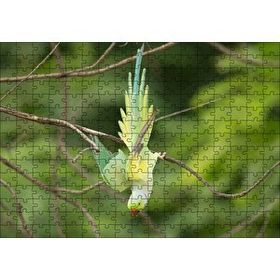 Cakapuzzle Daldan Aşağı Uçan Sarı Yeşil Papağan 120 Parça Ahşap Puzzle
